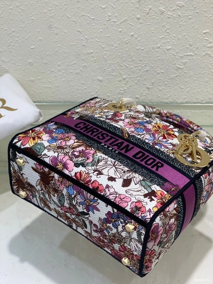 Lightweight Lady Dior Bags Christian My 70898 0717